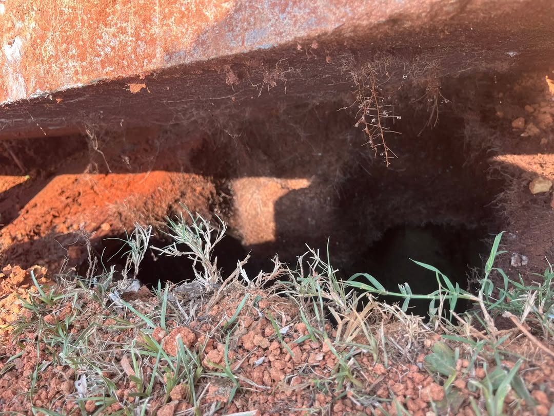 Inside view of a septic tank under the lid